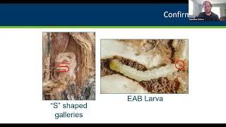 Osthus & Russell: EAB: Current Status, Trends, and New Resources for Landowners and Managers