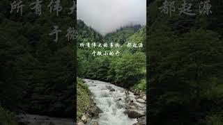 伟大 事物 微小 开始 #正能量 #疗愈 #静心小筑 #女性心灵驿站 #shorts
