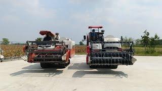 Rice Harvesting on a large rice field/Yanmar-70/Kubota DC-60 #agriculture #rgs #harvesting #kubota