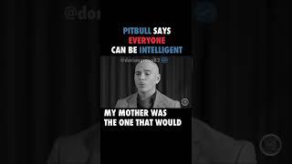 Pitbull Says Everyone Can Be Intelligent