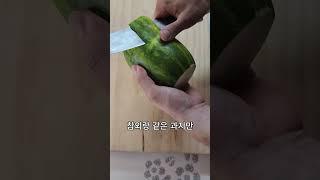 파파야메론 이거 저만 몰랐나요..? #shorts #과일 #일상 #일상브이로그