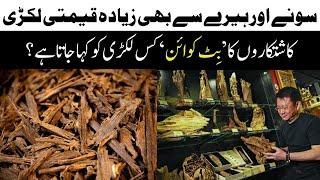 Wood more precious than gold and diamonds | Daily Jang