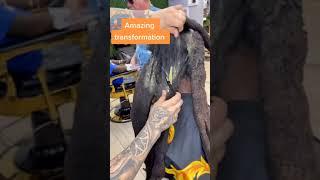 Guy Cuts His DreadLocks After So Long🫣 #hairstyle #dreadlocks #shorts #viral  #hair #haircut