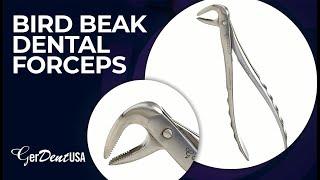 Bird Beak Dental Forceps - Extraction Forceps | GerDentUSA