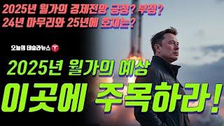 2025년 월가의 예상, 이 종목을 주목하라! 2025년 경제전망 긍정? 부정? 2024년 테슬라의 마무리와 2025년 테슬라의 호재는 무엇일까?