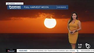 ABC 10News Pinpoint Weather with Meteorologist Vanessa Paz