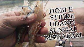 test mancing disaat air sungai mahakam keruh setelah dilanda hujan deras