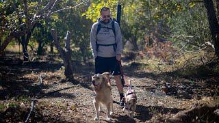 Making coffee with playful dogs  #irantravel #irantraveling #coffeelover #coffee