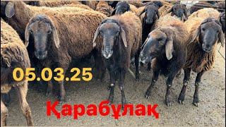 Ұсақ малдың бағасы 05.03.25 Қарабұлақ мал базары