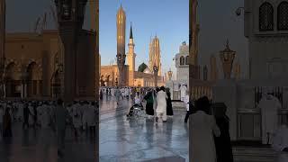 Mera Koi Nhe Hai  #shorts #youtubeshorts #shortvideo #masjidnabawi