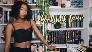 a hoarder who reads everything does a bookshelf tour | 2022 bookshelf tour 800+ books