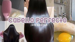 Rutina Fácil para un CABELLO PERFECTO *Sin gastar* dinero 