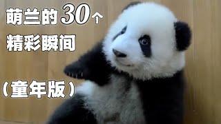 萌兰的30个精彩瞬间【童年版】两岁以前的萌兰，么么儿时期的30个精彩片段