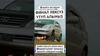 29. МАЙГА ЖЕТИШИН #music #рекомендации #djhamza #remix #тикток #тиктокнутая #дуэт #моялошадь #той