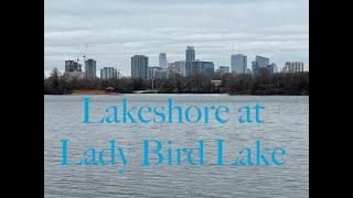 Lakeshore at Lady Bird Lake Metropolitan Park | Austin, TX