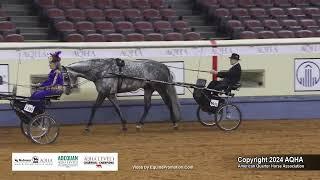 Select Pleasure Driving - 2024 AQHA World Championship Show