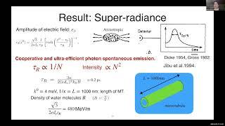 TSC2022 - C-13 - Space, time and consciousness 2