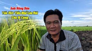 15 Công Một Mùa Nhổ Lúa Rài Trên 35tr Nay Đã Hết Nhờ Cách Này