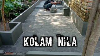 membuat kolam dangkal buat ikan nila