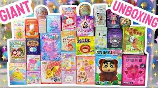 GIANT BLIND BOX UNBOXING!! **SANRIO, SHAKERS, PLUSHES, AND MORE!!