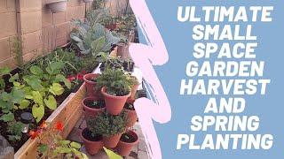 Ultimate Small Space Garden Harvest and Spring Planting- Urban Desert Garden