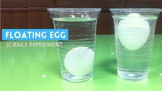 Floating Egg Experiment | Why Eggs Float in Salt Water | The Egg and Salt Experiment |