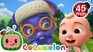 Flight of Mimi the Mouse!  | CoComelon Animal Time | Animals for Kids