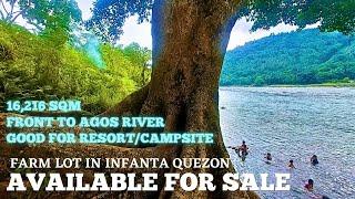 #vlog184 FARM LOT FOR SALE IN PHILIPPINES - 16,216 SQM FARM LAND - 250 PESOS PER SQM