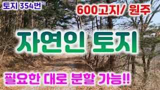 토지354번 원주 신림면 자연이 살아있는 자연인토지는 여기에서/ 분할가능 전체 2982평 전 계획관리 033-747-7545전체3억#자연인토지#신림면토지#원주토지매매#금창리토지#