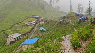 Most Peaceful & Relaxing mountain Village Life | Life With Beautiful Nature | Real Nepali Life