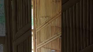 #BambooHouse #bahaykubo #nipahut #bamboo #janobahaykubo