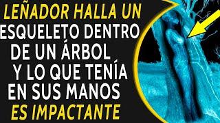 Leñador Halla Esqueleto Dentro De Un Árbol y Lo Que Tenía Escondido Entre Sus Manos Es Impactante