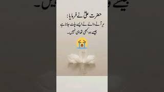 Dunya fani ha  Hazrat Ali Quotes #facts #quotes #sad