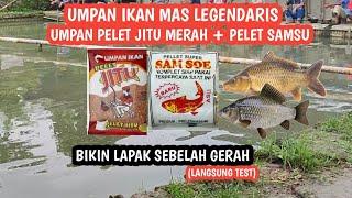 Umpan Ikan Mas Pelet Jitu & Pelet Samsoe II Umpan Ikan Mas Legendaris