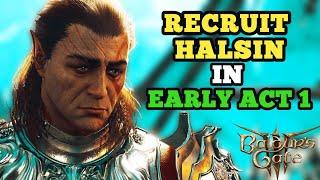 8 SECRET DISCOVERIES that will make you replay ACT 1 (Recruit Halsin early) // Baldur's Gate 3.