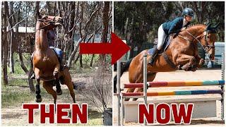 FROM RACEHORSE TO RIDING HORSE // Rocky's 1 year progress - The good, the bad, the very ugly...