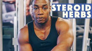 4 HERBS with natural steroid effects for bodybuilding & muscle gain