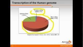 Long non-coding RNAs in Development & Disease Progression