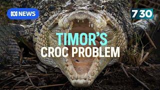 Timor Leste’s crocodile problem | 7.30