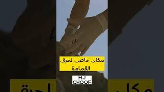 في سنغافورة لا توجد أزبال في البلاد! تأكد بنفسك.