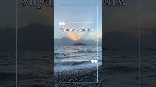 Управляйте счастьем #canva_на_смартфоне