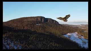 Hykjeberg, a mountain located in Älvdalen, Sweden.