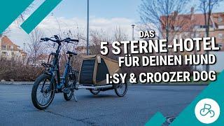 Camper-Vollaustattung für Mensch & Hund: I:SY Kompakt N3.8 E-Bike mit Croozer Mikke Hundeanhänger