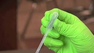 How To Use A Transfer Pipet