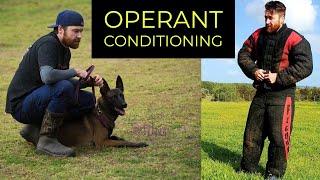 CORRECTING HIGH DRIVE WORKING DOGS | OPERANT CONDITIONING | Canine Paradigm Host Pat Stuart