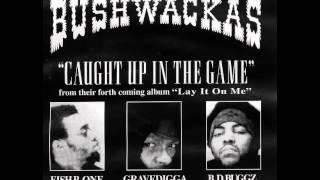 bushwackas - lay it on me