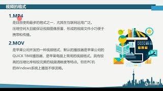 1.3、什么是视频的格式 【周王朝视觉AE完全系列自学教程】（日更）