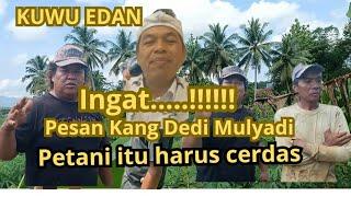 INGAT PESAN KDM PETANI ITU HARUS CERDAS DAN BERKEMAUAN KERAS  #kuwuedan #kangdedimulyadi