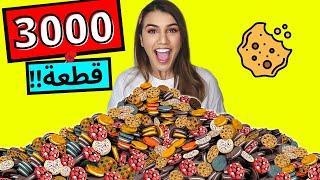 خلطت 100 نوع بسكويت مع بعض | وصنعت اكبر بسكويت بالعاالم ! 