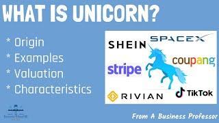 What is Unicorn? | From A Business Professor